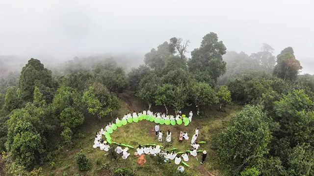 贺开古茶园七碗静心茶会