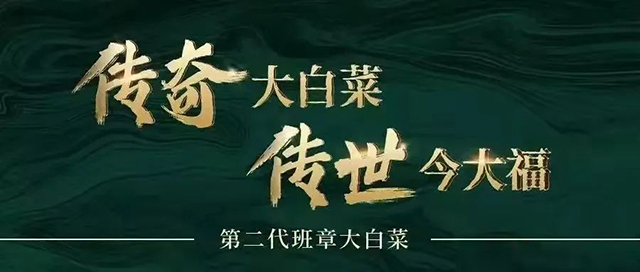 今大福品牌十周年正式启幕