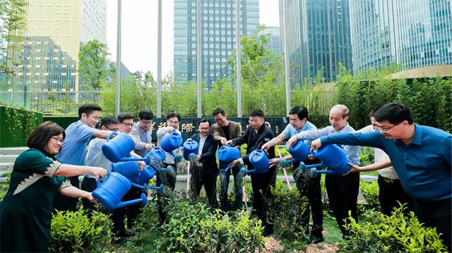 嘉宾共同种植茶树并浇水