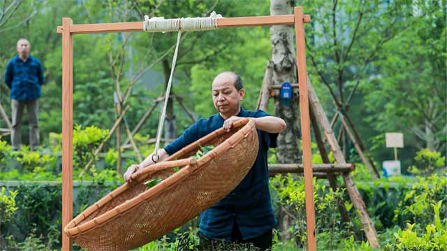 中国制茶大师刘远明展示制茶过程