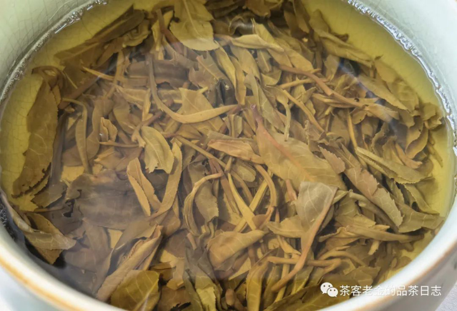 石一龙普洱茶生茶