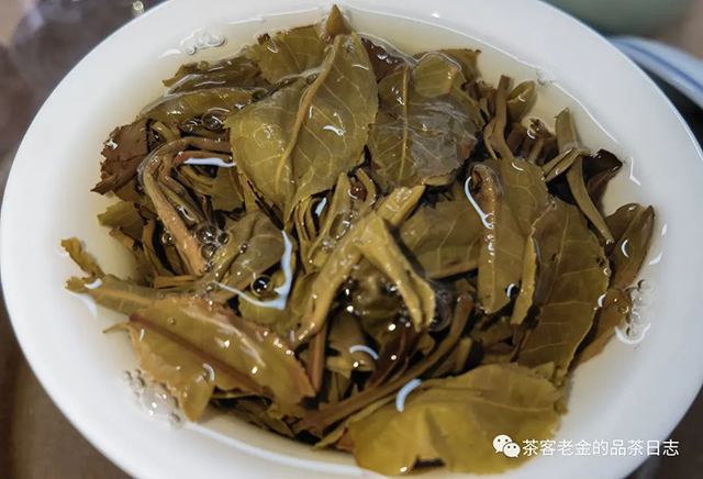 石一龙普洱茶生茶