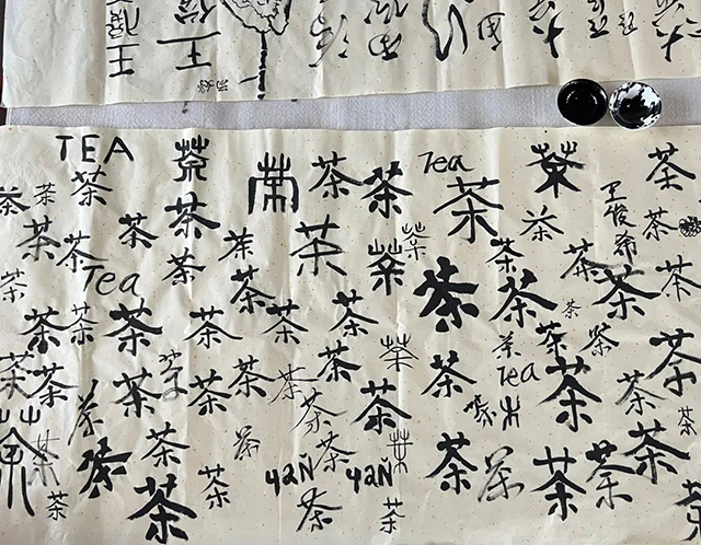 海湾茶业521国际饮茶日活动现场