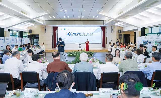 第三届美美与共云茶会主会场