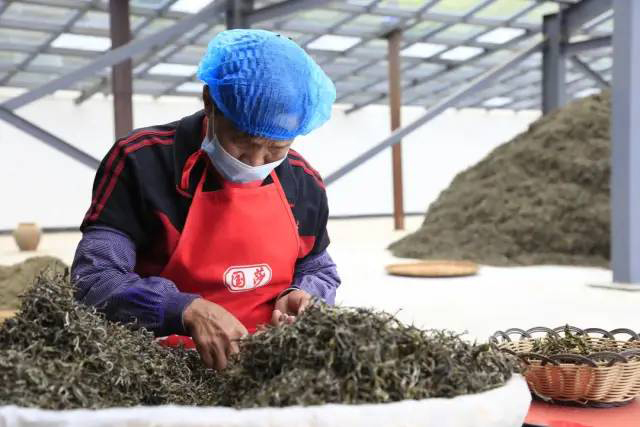 普洱墨江举办凤凰山文化主题活动