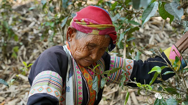 六大茶山贺开庄园普洱茶博物馆
