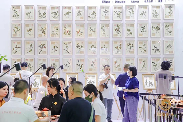 2022潮州工夫茶大会在广东潮州正式拉开帷幕