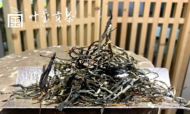 云南叶玺普洱古六大茶山革登茶