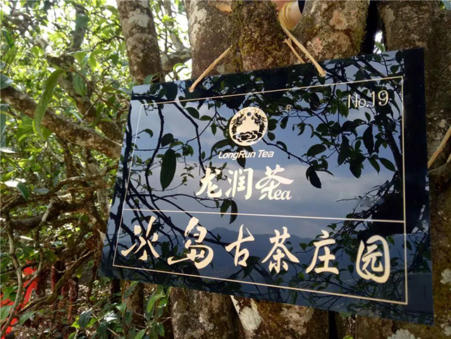 2022龙润茶冰岛普洱茶
