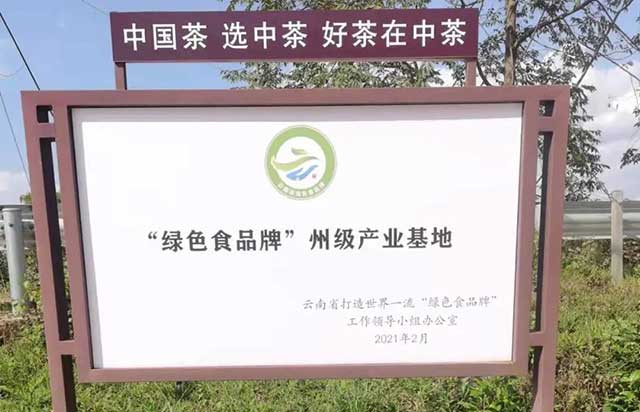 中茶普洱茶