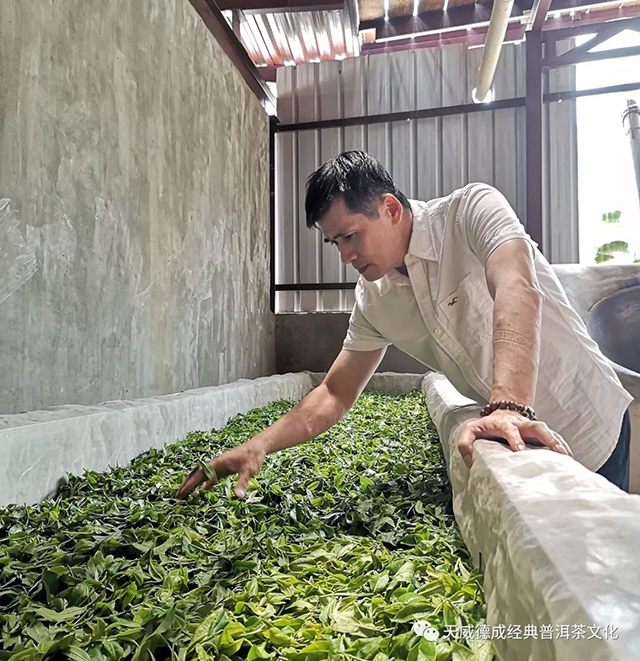 石昆牧经典茶文化