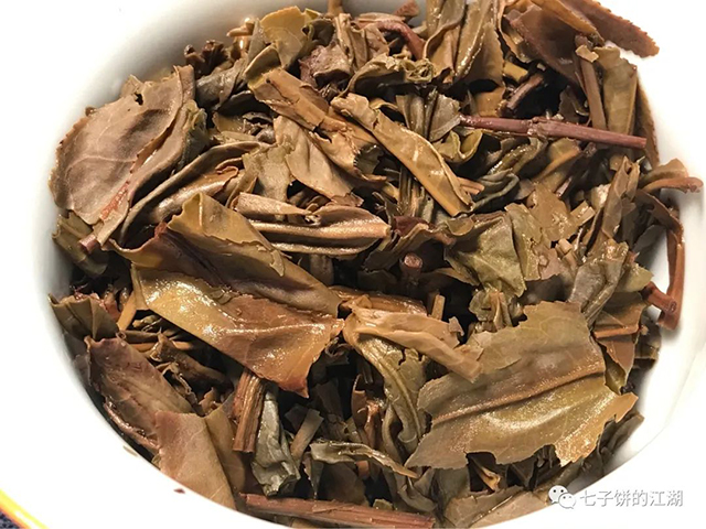 大益乔木圆茶开汤品鉴