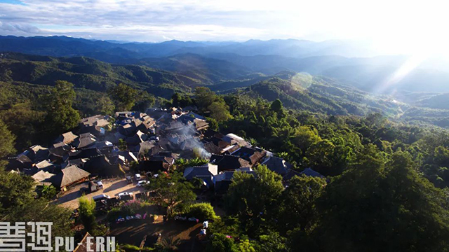 景迈古茶山