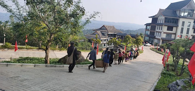 六大茶山4月7日普洱茶收鲜日志