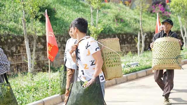 六大茶山踩准中国茶产业关键词