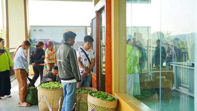 六大茶山踩准中国茶产业关键词