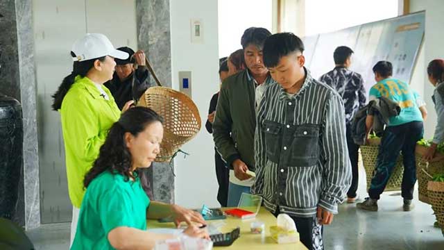 六大茶山踩准中国茶产业关键词