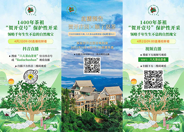 六大茶山踩准中国茶产业关键词