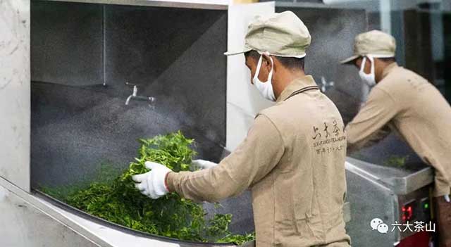 六大茶山踩准中国茶产业关键词
