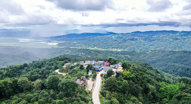 六大茶山贺开古茶园