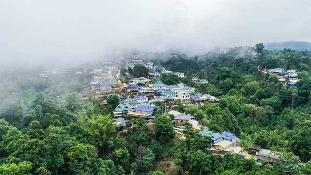 六大茶山贺开古茶园