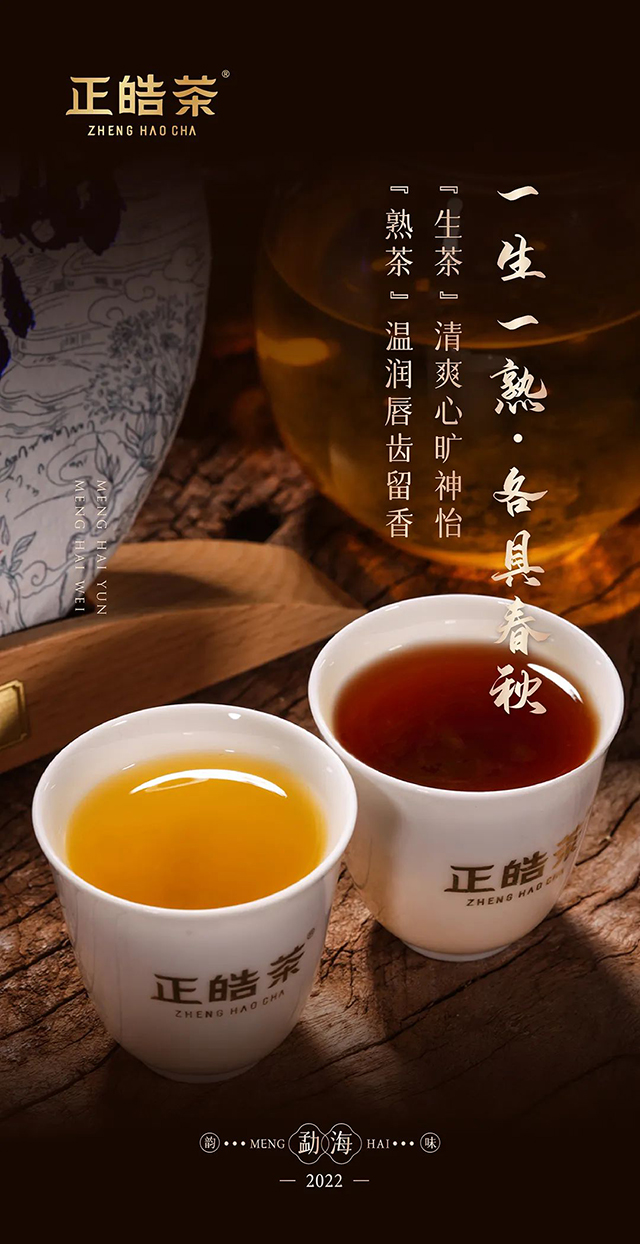 正皓茶2022勐海韵味普洱茶