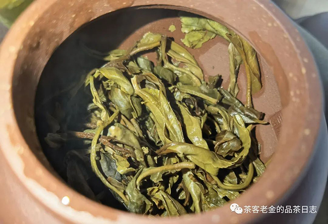 2016年倚邦普洱茶