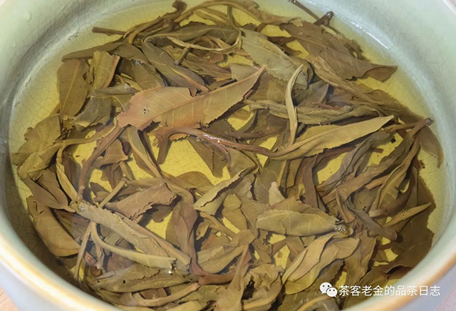 2016年倚邦普洱茶