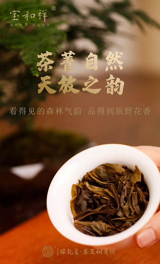 宝和祥2021年绿孔雀茶王树青饼普洱茶