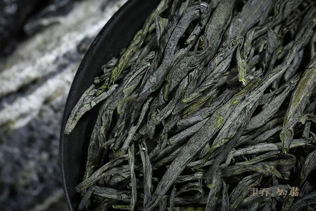 津乔普洱滇绿绿茶