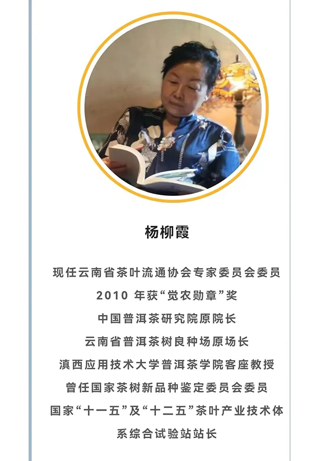 杨柳霞老师