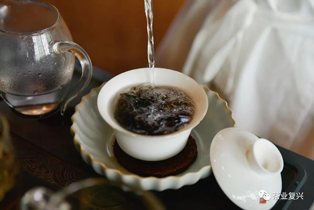 茶业复兴二十四节气芒种茶会