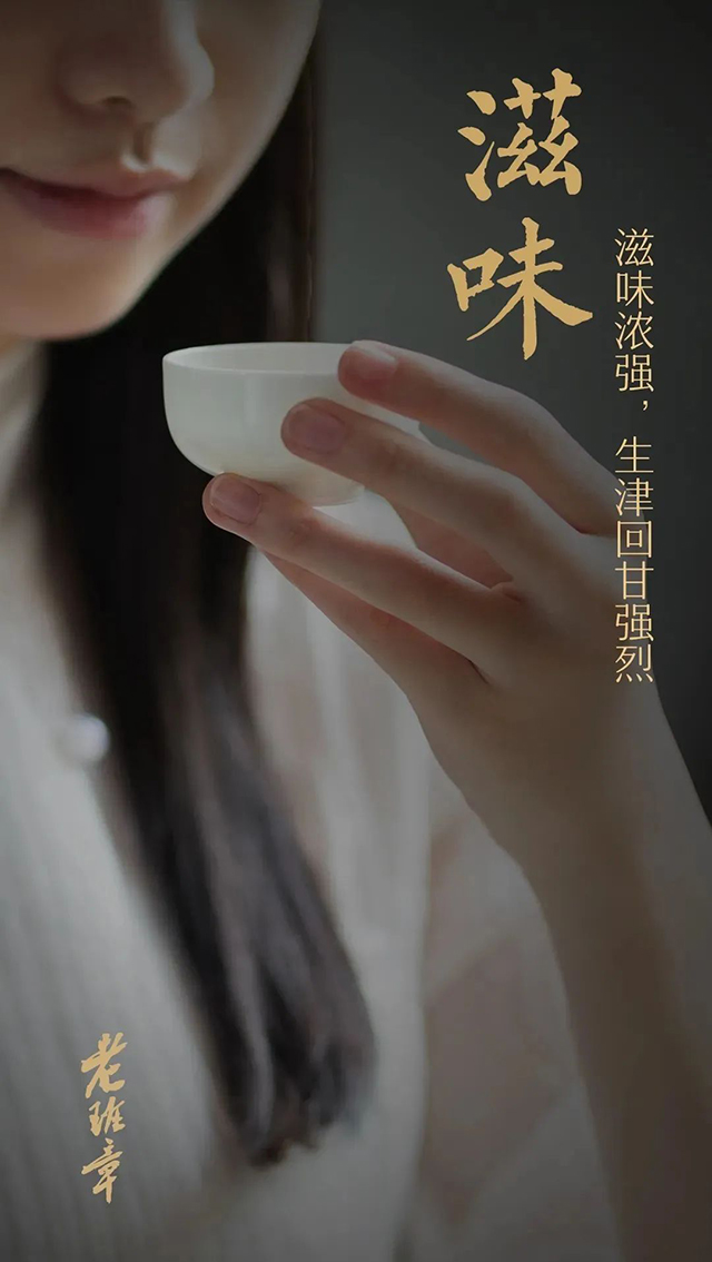 龙润茶2022老班章普洱茶