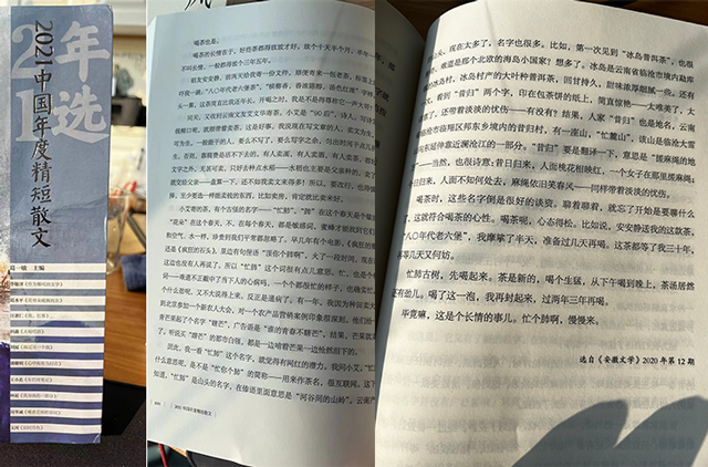 作家周华诚老师品鉴忙肺茶