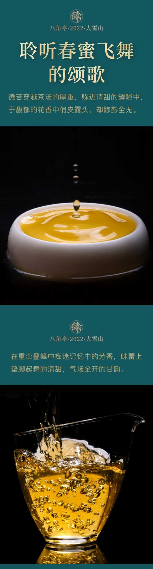 八角亭大雪山普洱茶