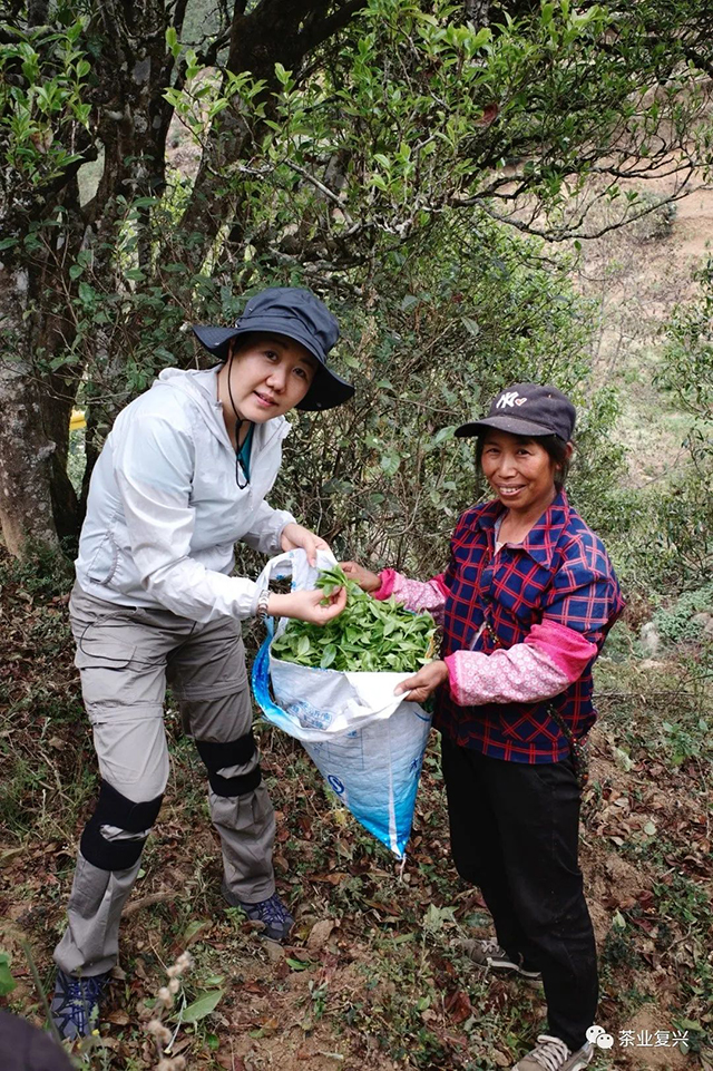 茶业复兴沙龙与读书会