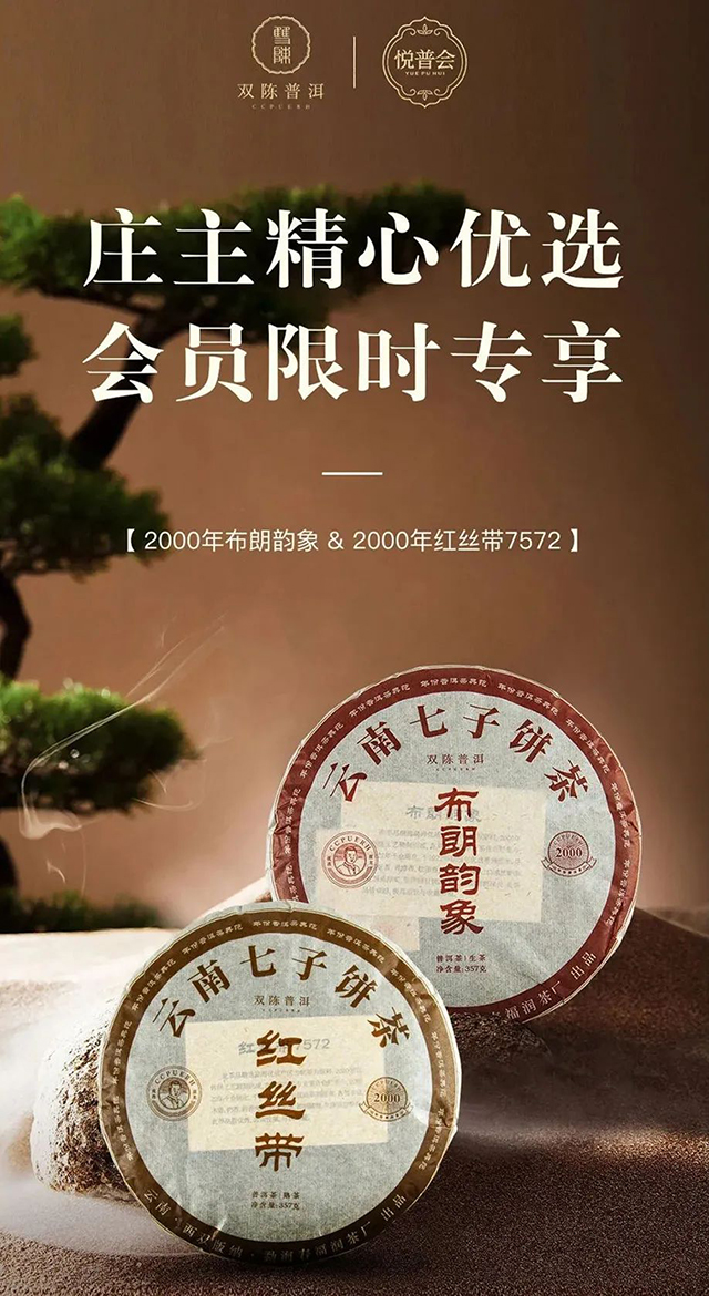 高端普洱茶品牌双陈普洱