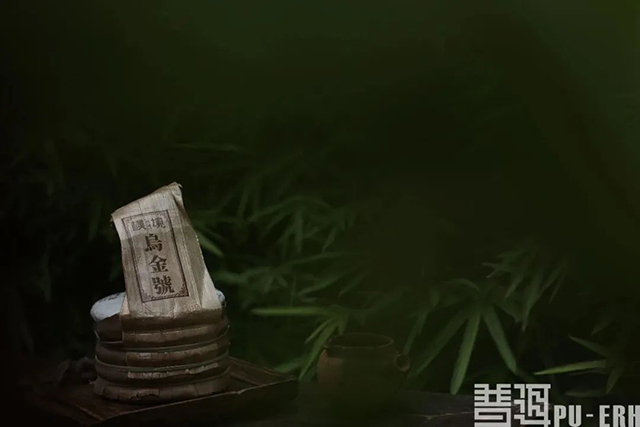 普洱杂志