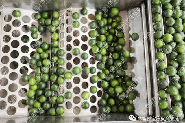 丽宫侨宝陈皮产业