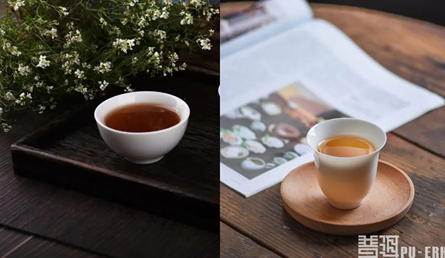 生茶与熟茶的区别