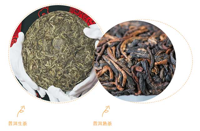 生茶与熟茶的区别