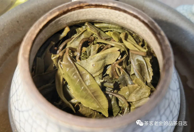 彤掌柜虎虎生威普洱茶