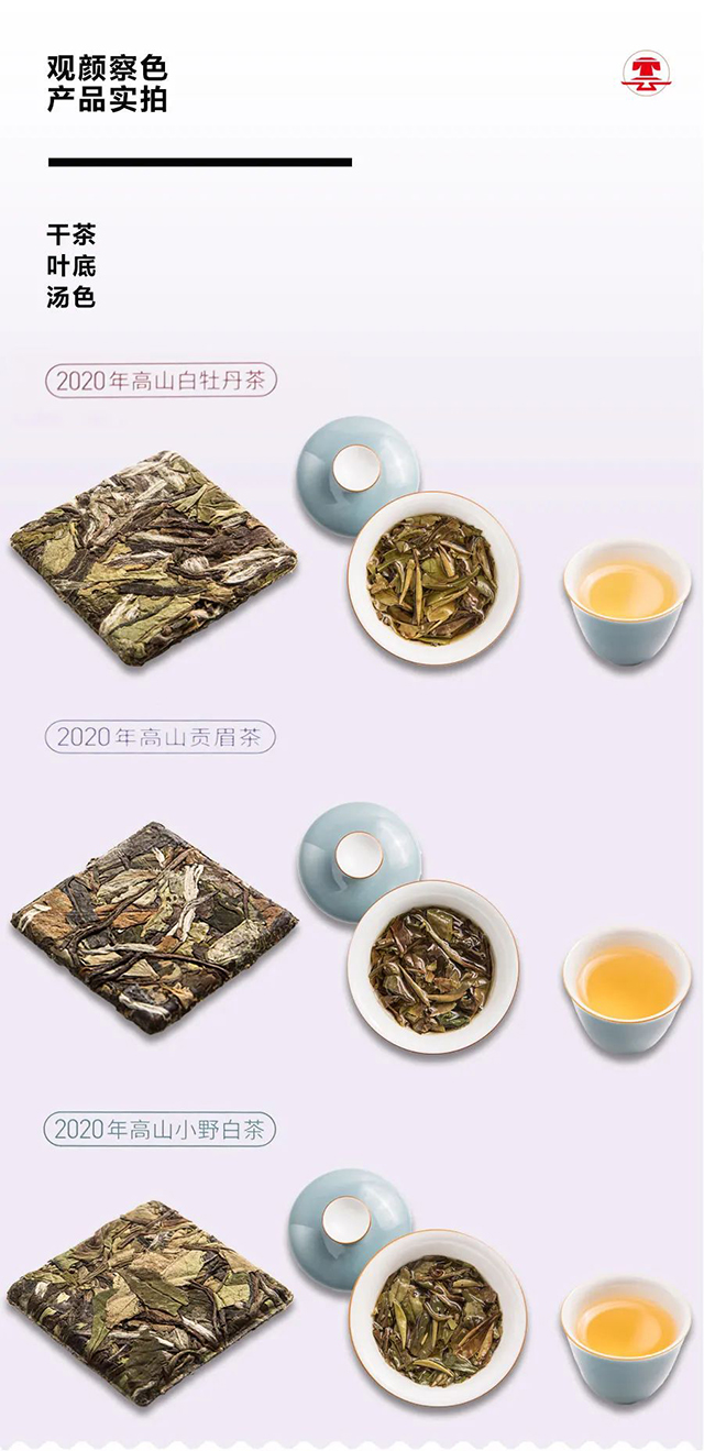 云根白茶泡朵白云卡通款茶品品质特点