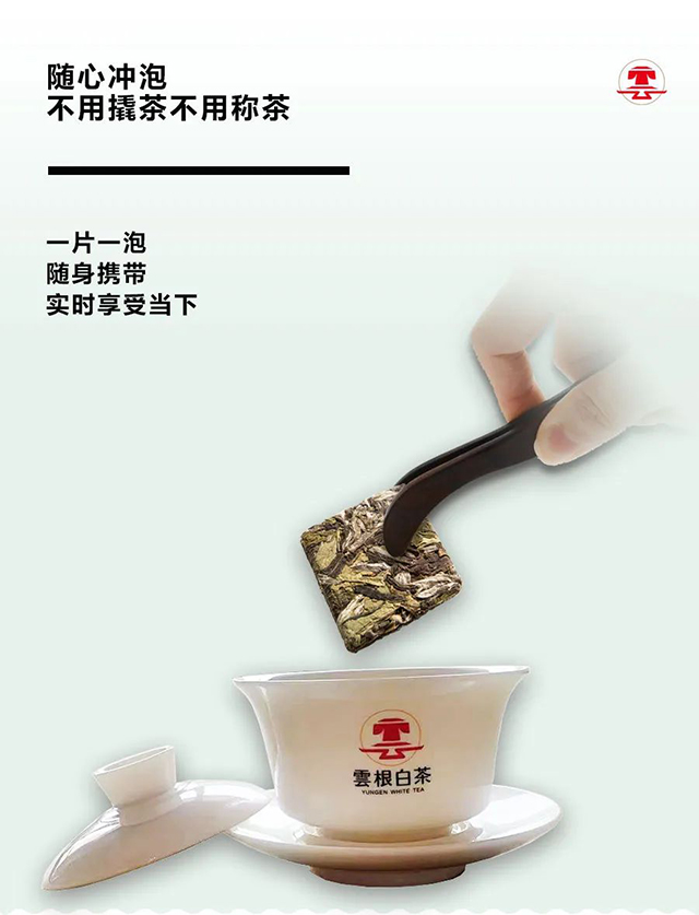 云根白茶泡朵白云卡通款茶品品质特点