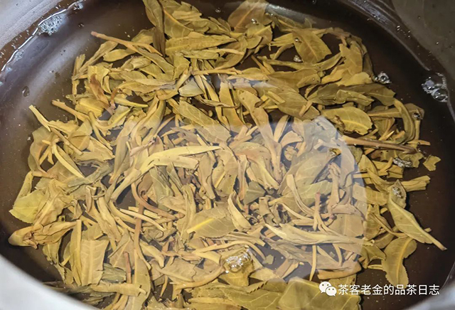 老爷说不将就2019年蛮砖普洱茶