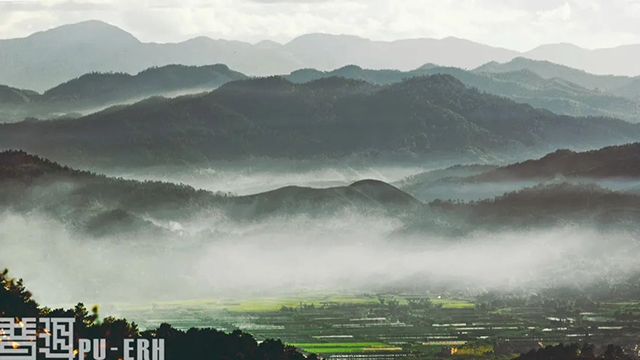 普洱杂志