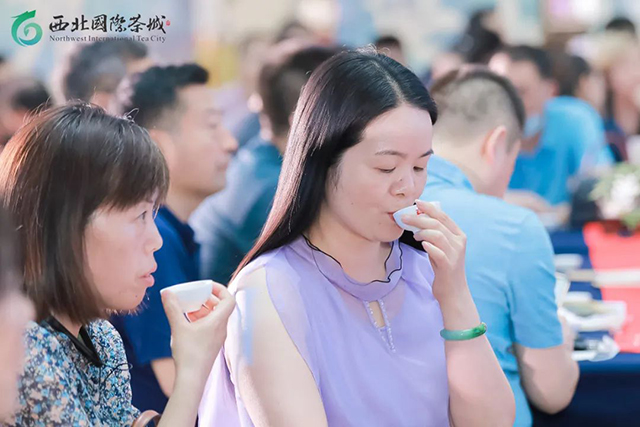 正皓茶班章有机茶普洱茶品鉴会