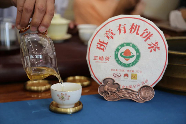 正皓茶班章有机茶普洱茶品鉴会