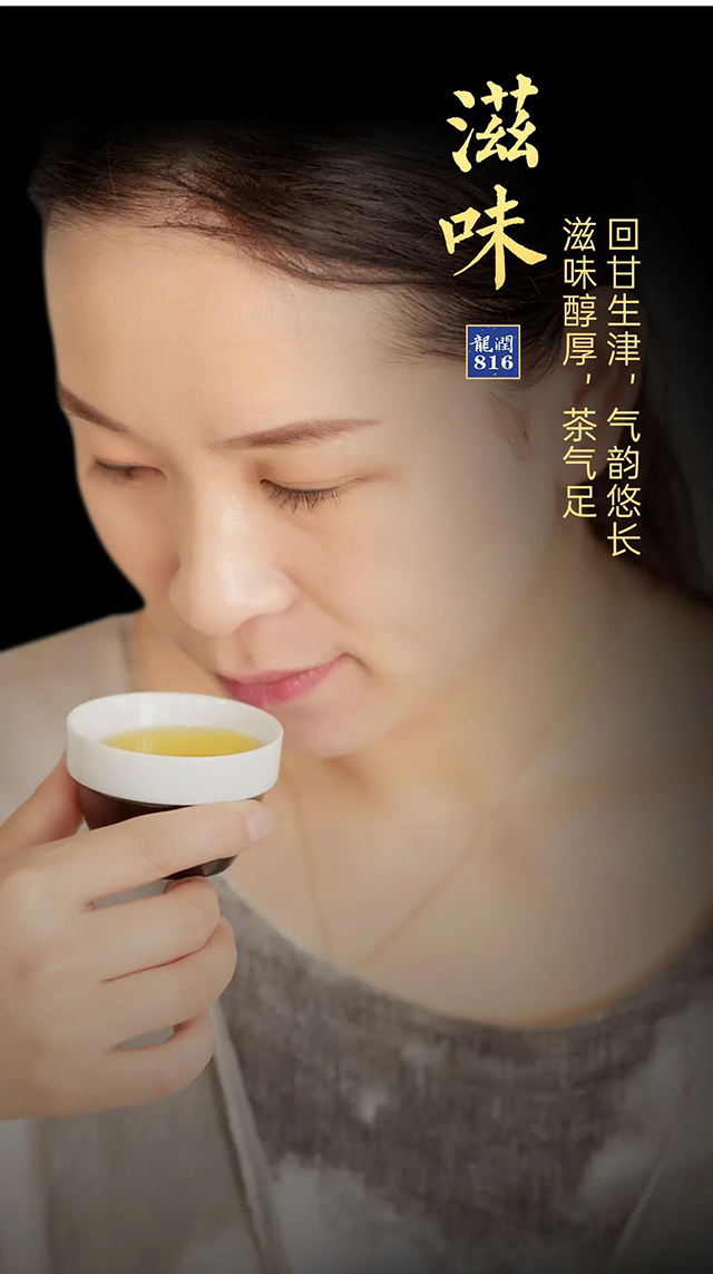 龙润茶816和826普洱茶