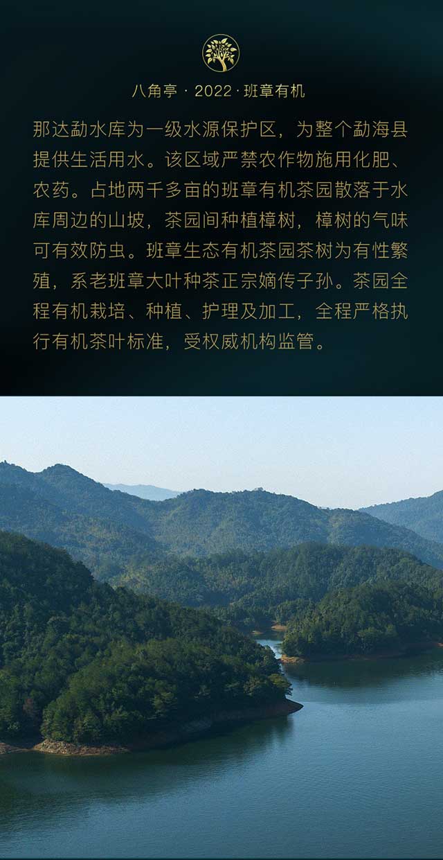 2022年八角亭有机饼茶普洱茶